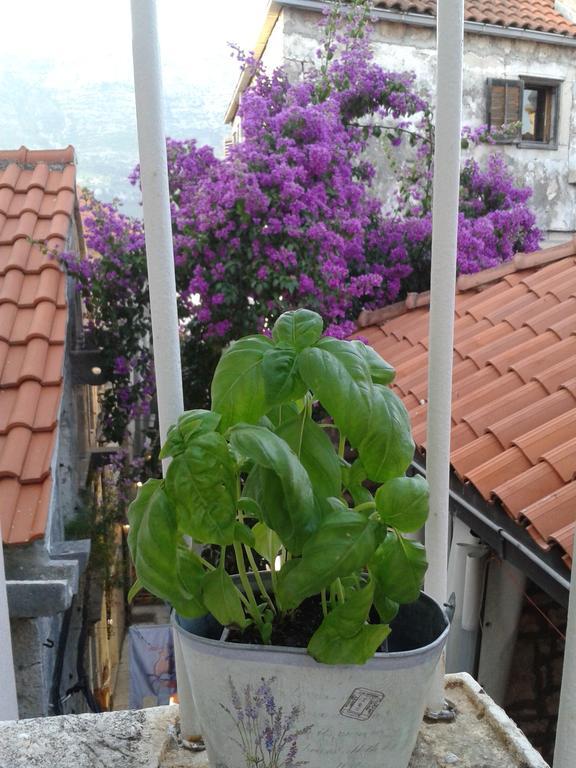 Apartments Milion Korčula Værelse billede
